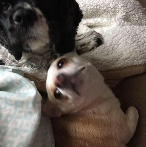 Meet your Posher, Gerie